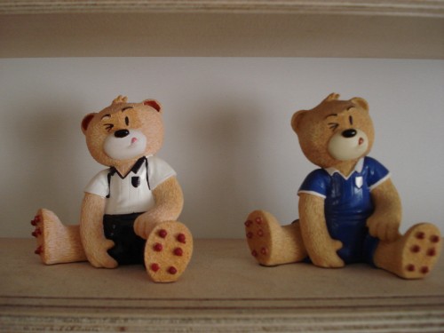 Bear photo