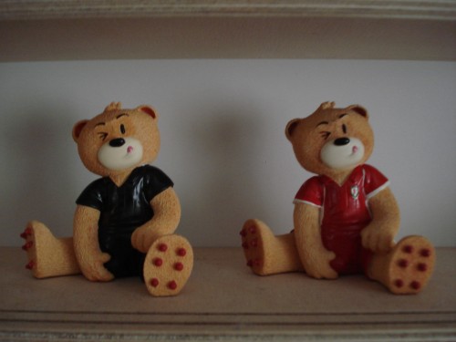 Bear photo