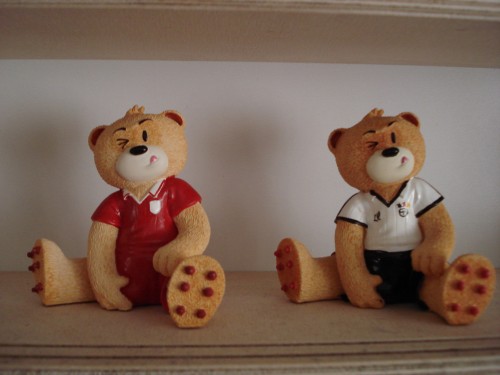 Bear photo