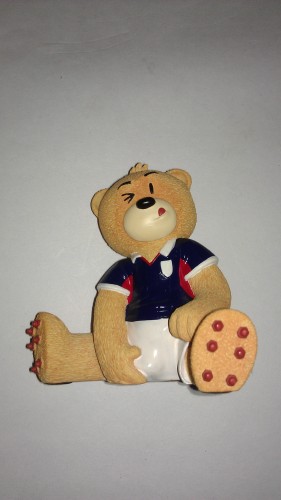Bear photo