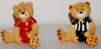 Bear photo
