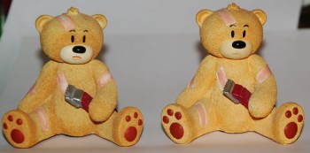 Bear photo