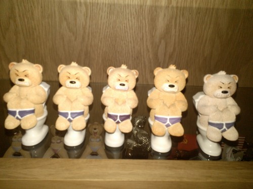 Bear photo
