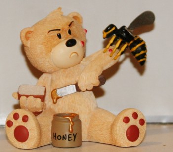 Bear photo