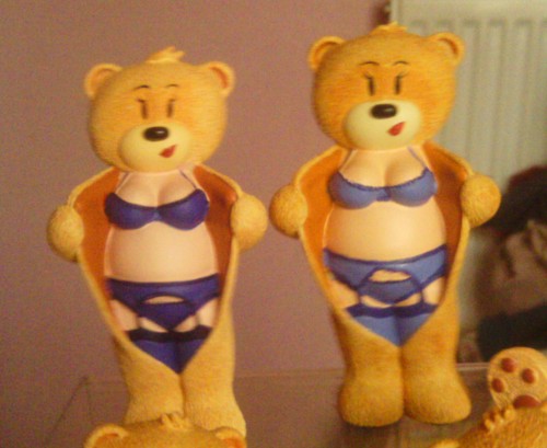 Bear photo