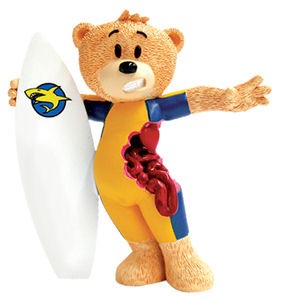 Bear photo