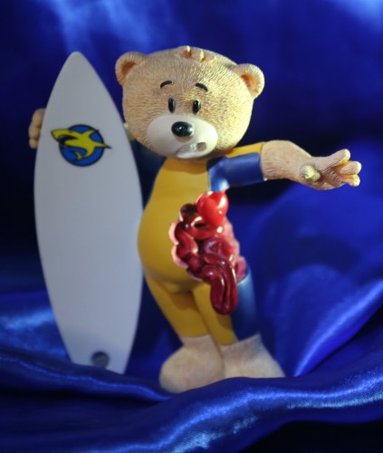 Bear photo