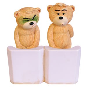 Bear photo
