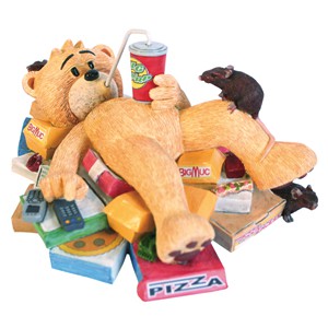 Bear photo