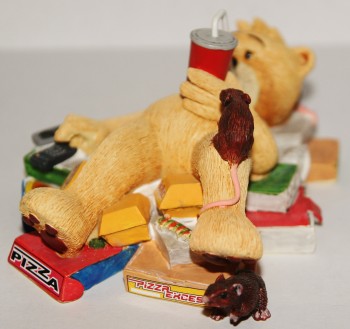 Bear photo