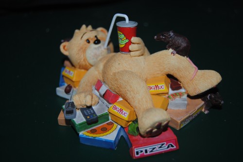 Bear photo
