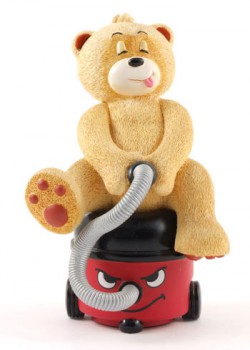 Bear photo