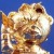 Buddy (Gold)