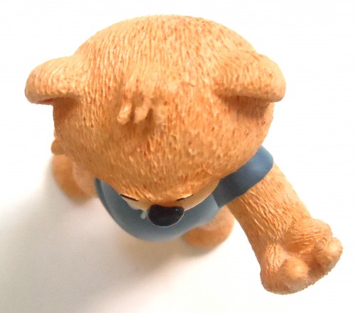 Bear photo