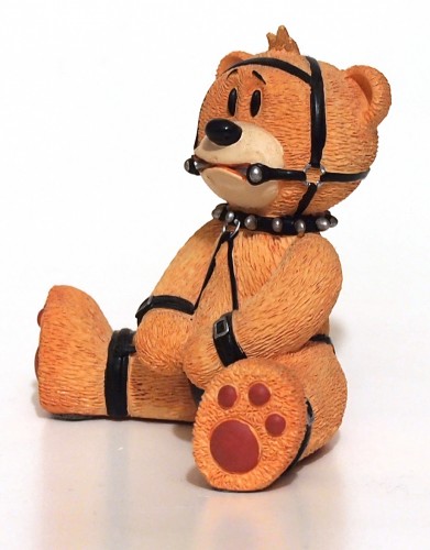 Bear photo
