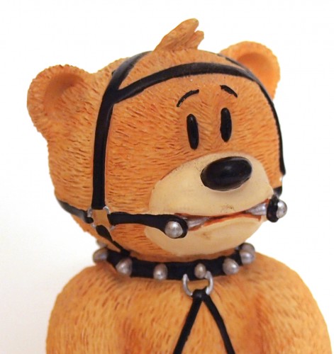 Bear photo