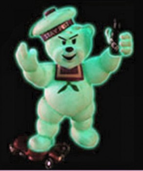 Bear photo