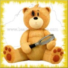 Bear photo