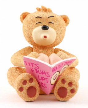 Bear photo