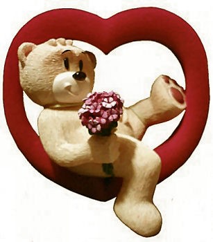 Bear photo