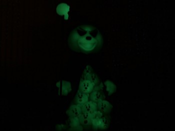 Bear photo