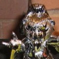 Kissoglam (Metallic)