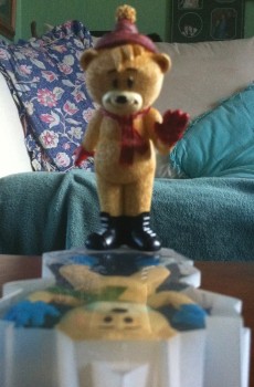 Bear photo