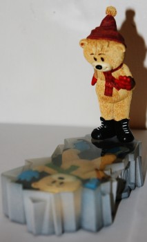 Bear photo