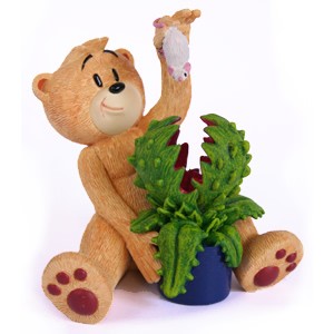 Bear photo