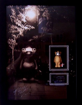 Bear photo