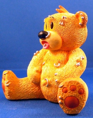 Bear photo