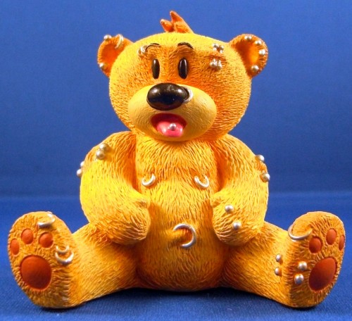 Bear photo