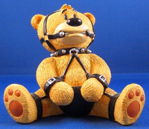 Bear photo