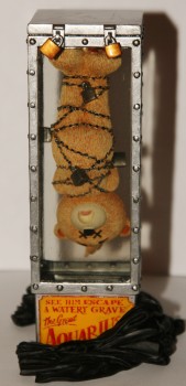 Bear photo