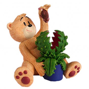 Bear photo
