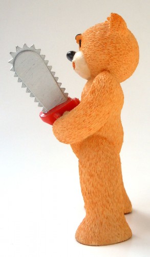 Bear photo