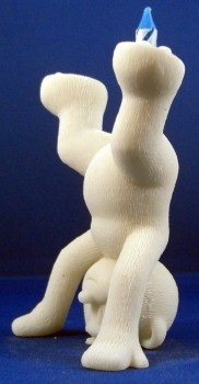 Bear photo