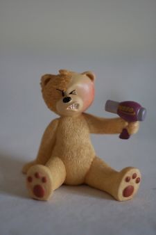 Bear photo