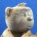 Sonny (Grey)