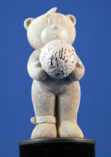 Bear photo