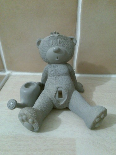 Bear photo