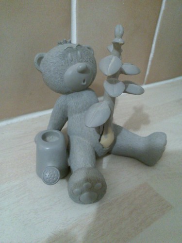 Bear photo