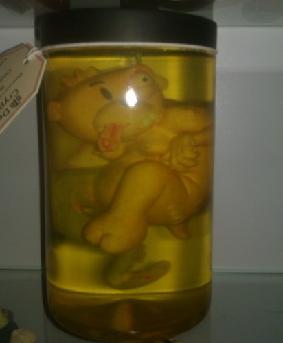 Bear photo