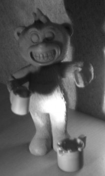 Bear photo