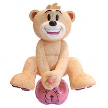Bear photo