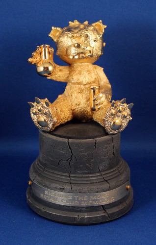 Bear photo