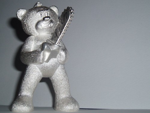 Bear photo