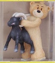 Bear photo