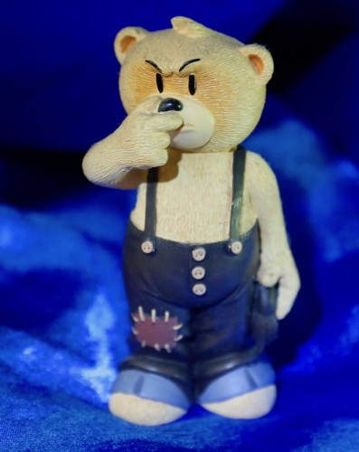 Bear photo