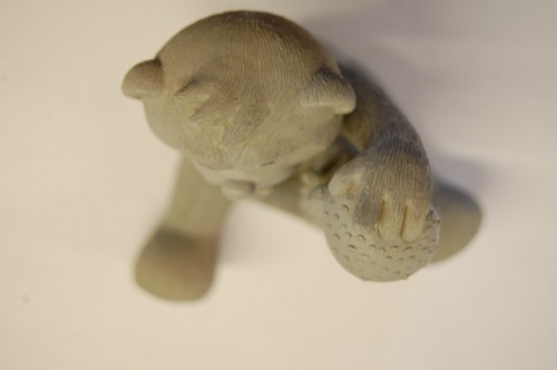 Bear photo